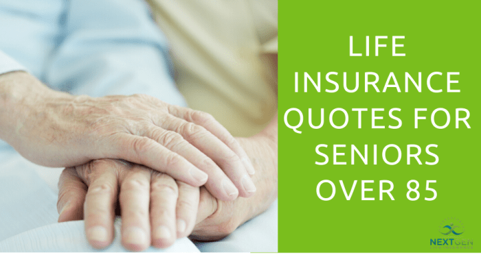 Life Insurance Quotes for Seniors Over 85
